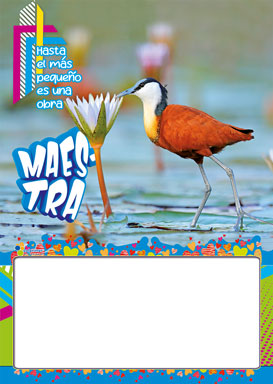 Almanaque Fauna Papel ¼ 